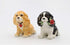 Cosmos Gifts 20761 Cocker Spaniel Salt and Pepper Shaker, One Size, Brown