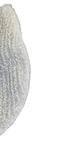 Oreck Commercial - 437.053 437053 Carpet Bonnet Orbiter Pad, 12" Diameter, For ORB550MC Orbiter Floor Machine