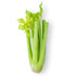 100% CELERY WHOLE FOOD – Our Celery Juice Powder is made from one ingredient only i.e. celery juice. Plant-Based, Non-GMO, Gluten-free naturally powerful whole vegetable powder | Packaging May Vary, 8 oz