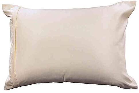 Healthy Nights Satin with Aloe Pillow Protector in Ivory