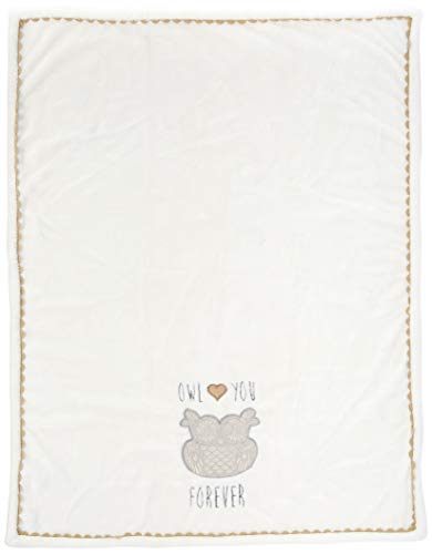 Levtex Baby - Night Owl Plush Blanket - Appliqued and Embroidered Owl with RIC Rac Trim - Owl Love You Forever - Grey, Tan and Cream - Nursery Accessories - Blanket Size: 30 x 40 in.