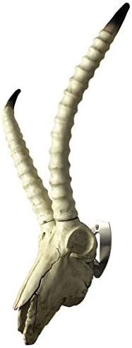 Hi Flame Skull Hook Trophy Mount Perfect Kit for Hanging and Mounting Taxidermy Deer Antlers and Other Skulls for Display Skull Hanger Stainless Steel (Pick of 3)