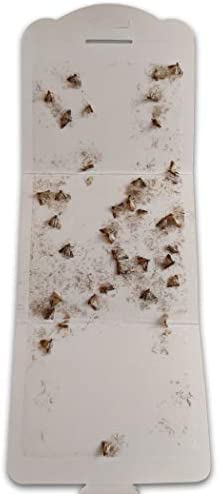 Clothes Moth Traps (6 Count) with Pheromones Lure, Powerful Moth Traps For House, wool clothes and carpet