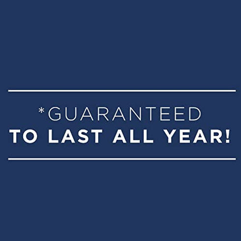 AT-A-GLANCE 2023 Weekly & Monthly Planner, QuickNotes, Hourly Appointment Book, 5" x 8", Small, Monthly Tabs, Pocket, Black (760205)
