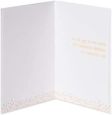 Papyrus Birthday Card for Son (All the Love In the World)