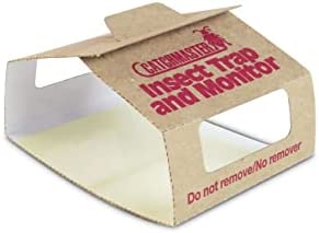 Brown Recluse Spider Traps by Catchmaster - 30 Pre-Baited Glue Board Sheet Monitor Traps, Ready to Use Indoors. Insect Cockroach Cricket Sticky Adhesive Fold-able No-Mess Non-Toxic - Made in The USA