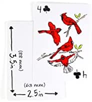 Apostrophe Games Blank Playing Cards – 180pcs Blank Playing Cards to Write On – Custom Card Deck with Luxurious Matte Finish – Fun and Cool Playing Cards for Kids and Adults