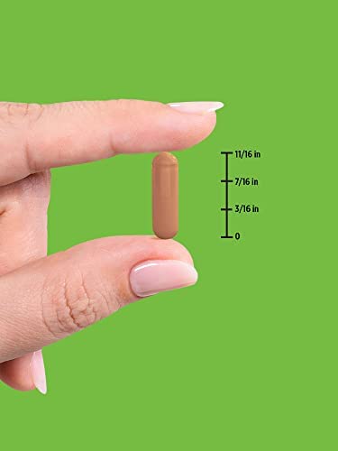 Mushroom Supplement Capsules | 60 Count | Full Spectrum | Non-GMO, Gluten Free | Complex of Super 6 Mushrooms | by Nature's Truth