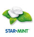 HARIBO Star Mint Chewy Peppermint Mint Candy 6.5oz (2 Pack)