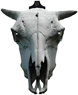 Veradura - European Skull Wall Mount Bracket Hanger for Deer Mule Antelope Coyote and Small Game Animals - Complete with Simple & Easy Installation Kit - Suitable for Indoors or Outdoor use