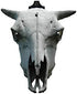 Veradura - European Skull Wall Mount Bracket Hanger for Deer Mule Antelope Coyote and Small Game Animals - Complete with Simple & Easy Installation Kit - Suitable for Indoors or Outdoor use
