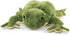 Ice King Bear Plush Giant Frog Stuffed Animal Soft Toy, 22 Inches Large, Green