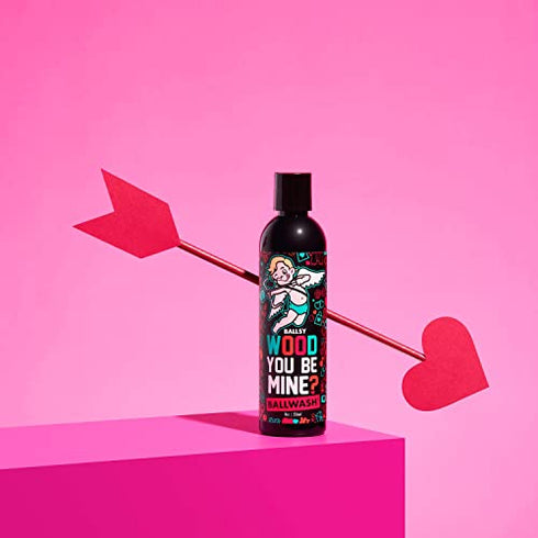 Ballsy Ballwash Wood You Be Mine Charcoal Body Wash for Men, Natural Soap, Moisturizing, Shower Gel, w/ Coconut Oil and Aloe Vera, Drift & Dunes Scent, 8 Fl oz