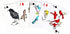 Apostrophe Games Blank Playing Cards – 180pcs Blank Playing Cards to Write On – Custom Card Deck with Luxurious Matte Finish – Fun and Cool Playing Cards for Kids and Adults