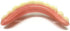 Instant Smile Teeth Upper Veneers (Small)