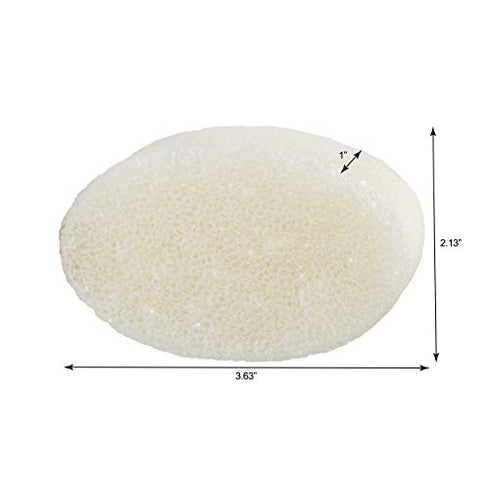 Spongeables Shaving Soap In Sponge, Coconut Scent, Coconut,2 Count (Pack of 1)