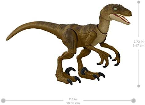 ?Jurassic World Jurassic Park Hammond Collection Velociraptor Dinosaur Action Figure, 7.5 in Long with 14 Movable Joints, Gift and Collectible