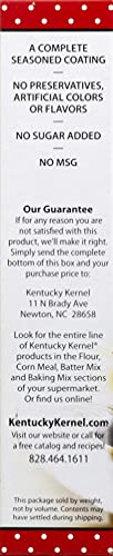 Kentucky Kernel Seasoned Flour, 10 Ounce