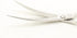 HASHIMOTO Curved Scissors For Dog Grooming,6.5 inches,Design For Professional Groomer.
