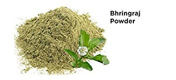 100 % Natural Bhringraj Powder ( Eclipta Alba ) - Promotes Healthy Hair Growth (100 gm (0.22 lb) 3.5 ounces)
