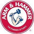 Arm & Hammer Extra Strength Carpet Cleaners (108 Oz)