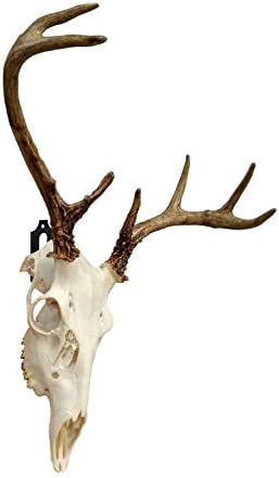 Veradura - European Skull Wall Mount Bracket Hanger for Deer Mule Antelope Coyote and Small Game Animals - Complete with Simple & Easy Installation Kit - Suitable for Indoors or Outdoor use