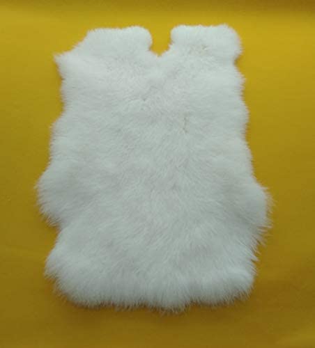 1pcs Natural White Craft Grade Rabbit Fur Pelt (10" by 12" Rabbit Pelt with Sewing Quality Leather) (Natural White)