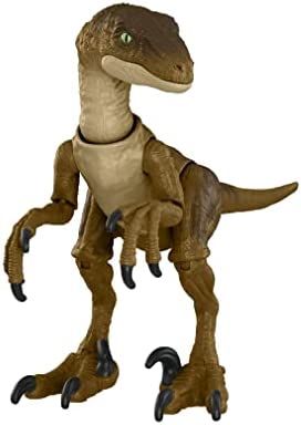 ?Jurassic World Jurassic Park Hammond Collection Velociraptor Dinosaur Action Figure, 7.5 in Long with 14 Movable Joints, Gift and Collectible