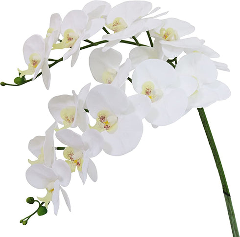 Htmeing 38 Inch Artificial Phalaenopsis Flowers Branches Real Touch (Not Silk) Orchids Flowers for Home Office Wedding Decoration,Pack of 2 (White)