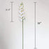 Htmeing 38 Inch Artificial Phalaenopsis Flowers Branches Real Touch (Not Silk) Orchids Flowers for Home Office Wedding Decoration,Pack of 2 (White)