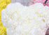 23cm Rose Bear in Box Artificial Rose Flower Bear, Gift for Valentines Day, Wedding, Mothers Day and Anniversary (RED)