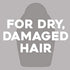 OGX Restoring + Bonding Plex Salon Technology Conditioner, 13 Ounce