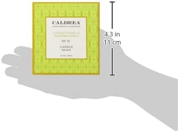 Caldrea Scented Candle, Made with Essential Oils and Other Thoughtfully Chosen Ingredients, 45 Hour Burn Time, Ginger Pomelo Scent, 8.1 oz (Packaging May Vary)