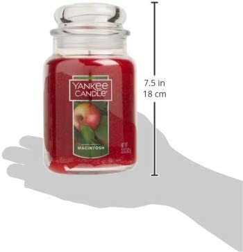 Yankee Candle Large Jar Candle Macintosh