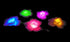 LED Light up Accessories for Hair - Glowing Rose, Light up Flower, Glow in the Dark, LED Hair, Flashing LED Light-up Toys, Glow Barrettes, Bar Dancing Clip, Light up Hair Accessories LED Party Favor
