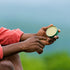 Murphy's Naturals Mosquito Repellent Balm | Plant Based, All Natural Ingredients | DEET Free | Travel/Pocket Size | 0.75 oz