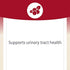 CranRich by Natural Factors, Super Strength Cranberry Concentrate, Antioxidant Supplement for Urinary Tract Support, Non-GMO, 180 Capsules