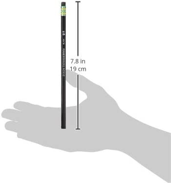 Ticonderoga Pencils, Wood-Cased, Graphite #2 HB Soft, Black, 24-Pack (13926)