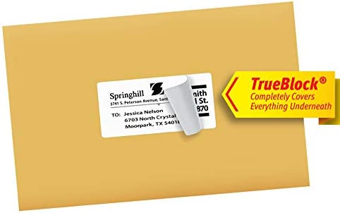 Avery Shipping Address Labels, Laser & Inkjet Printers, 100 Labels, 2x4 Labels, Permanent Adhesive, TrueBlock (18163)