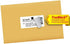 Avery Shipping Address Labels, Laser & Inkjet Printers, 100 Labels, 2x4 Labels, Permanent Adhesive, TrueBlock (18163)