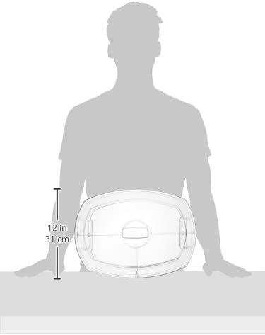 Prodyne SB-5 Flip-Lid Appetizers On Ice, 15", Clear