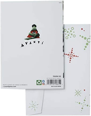 Avanti 10-Count Christmas Cards with Envelopes, Holiday Prairie Dogs
