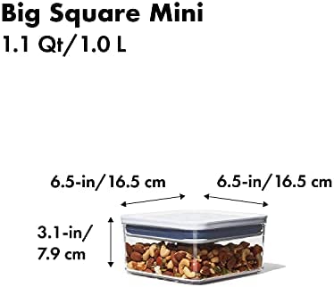 OXO Good Grips POP Container - Airtight Food Storage - 1.1 Qt for Nuts and More,Transparent