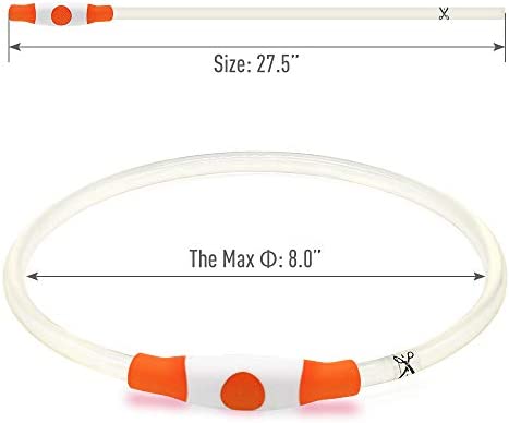 Vizbrite LED Dog Collar, USB Rechargeable Light Up Dog Collars, Glow Safety Basic Dog Collars for Night Walking, Waterproof Collar for Small Medium Large Dogs