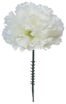 Larksilk Cream White Silk Carnation Picks, Artificial Flowers for Weddings, Decorations, DIY Decor, 100 Count Bulk, 3.5" Carnation Heads with 5" Stems