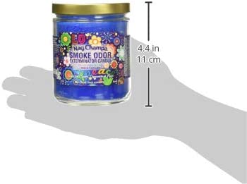 Smoke Odor Exterminator Nag Champa 13 Oz Jar Candle, 13 Ounce