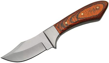 SZCO Supplies 7.25” Small Upsweep Drop-Point Outback Pakkawood Handle Skinning Knife with Sheath