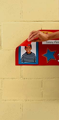 Scotch Removable Wall Mounting Tabs, 1/2-in x 3/4 in, 480 Tabs (7225)