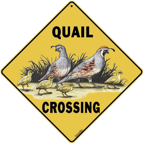 CROSSWALKS Quail Crossing Sign - 12" X 12" Aluminum Sign (X143)