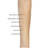 L'Oreal Paris True Match Super-Blendable Concealer, Light/Medium Cool, 0.17-Fluid Ounce